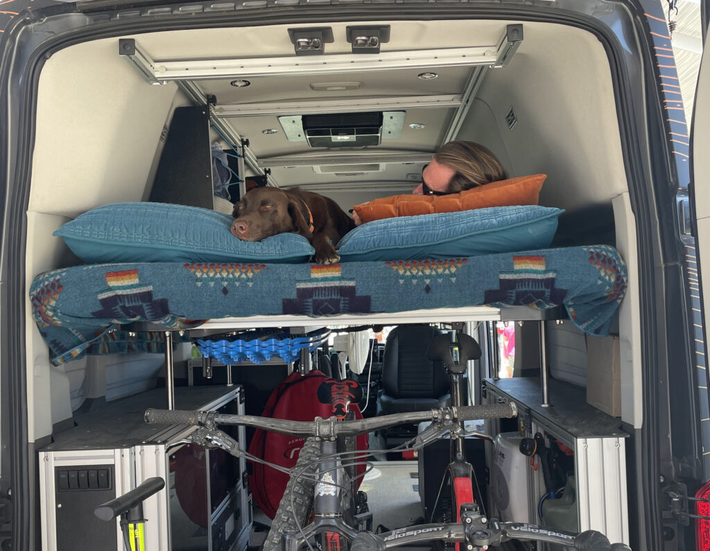 Vanlife with a dog